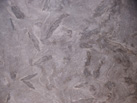 Ʒ-QUARRYSAR GROUP
